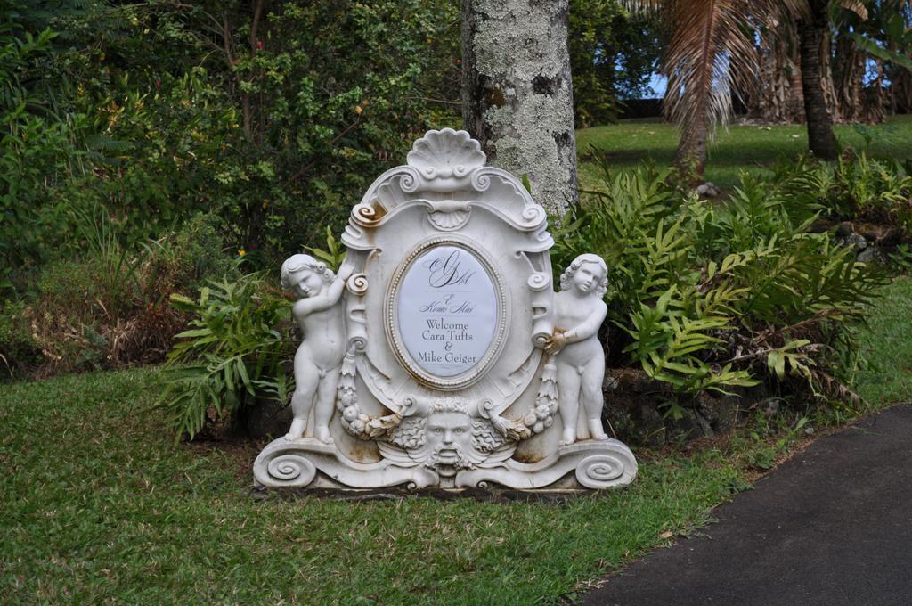 The Palms Cliff House Inn Honomu Экстерьер фото