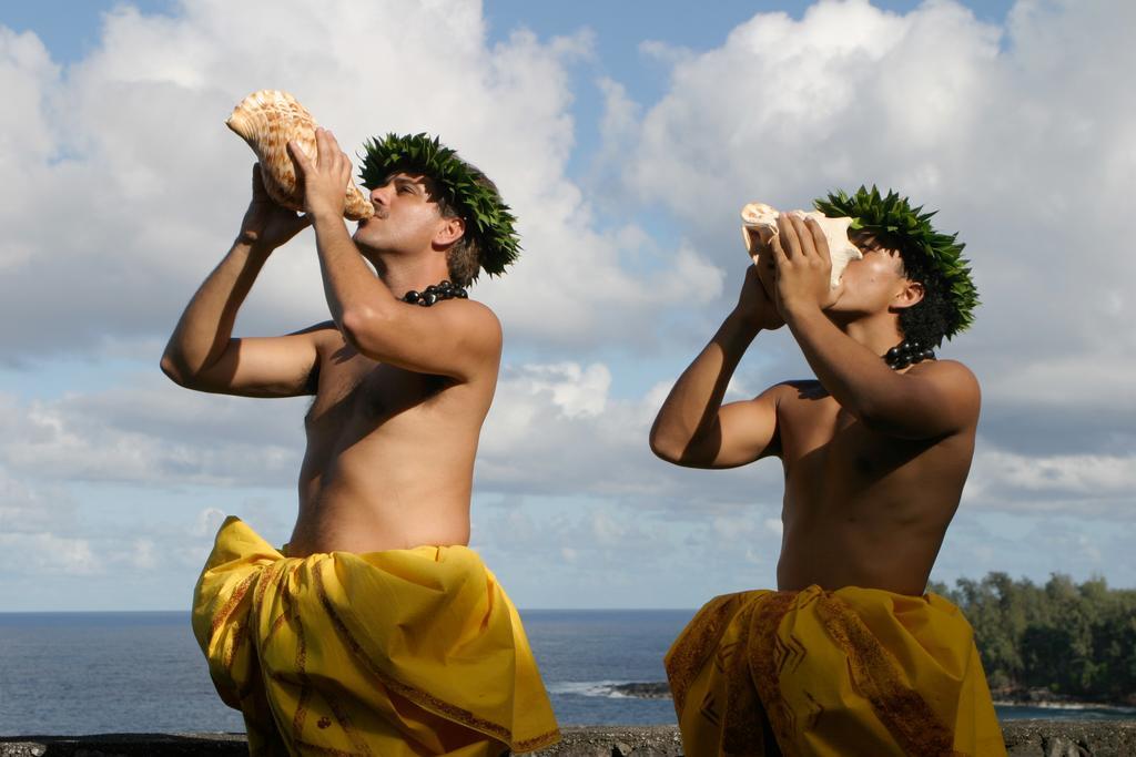 The Palms Cliff House Inn Honomu Экстерьер фото